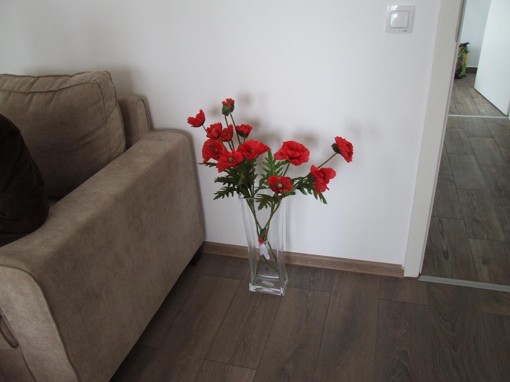 Apartament Anca