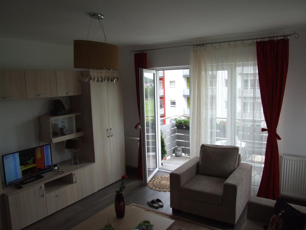 Apartament Anca *