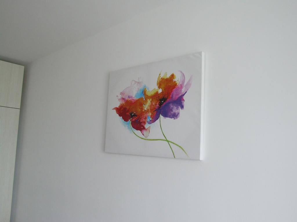 Apartament Anca Brașov