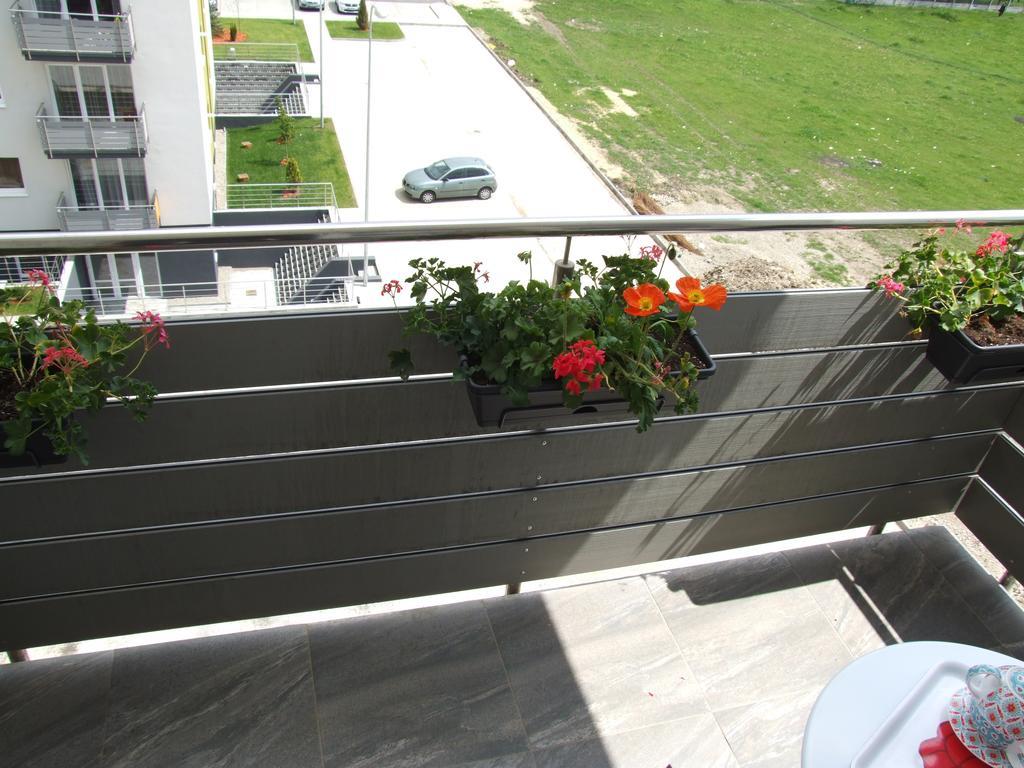 Apartament Anca *