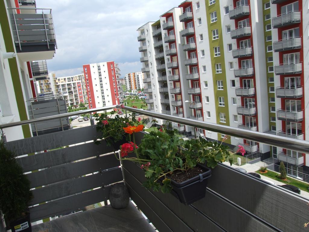 Apartament Anca Brașov